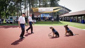 POLG_286