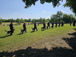 rokk_nyilt_nap_06_30_2